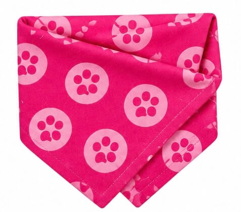 Buddy Box bandana