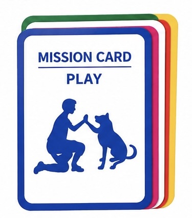 Mission cards